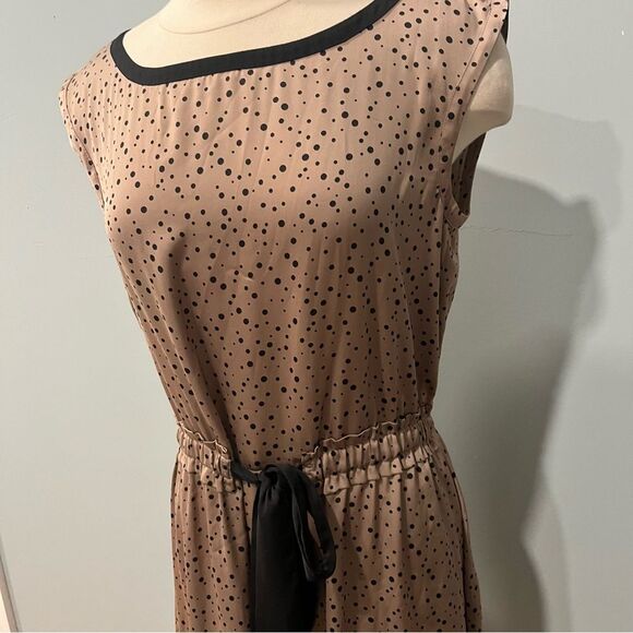 Ann Taylor Loft Brown Polka Dot Sleeveless Dress Size Medium - Picture 2 of 7